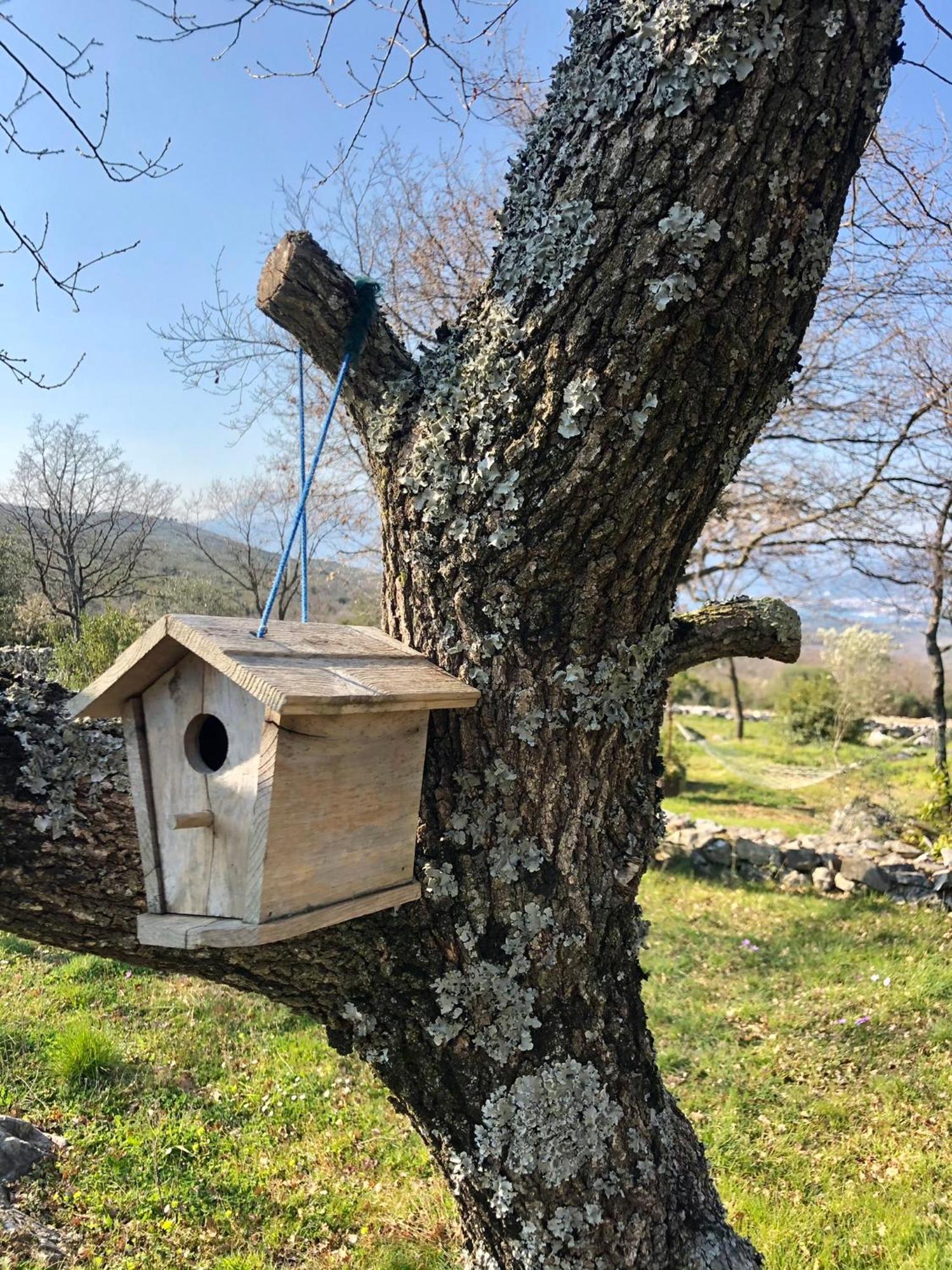 Glamping Montenegro