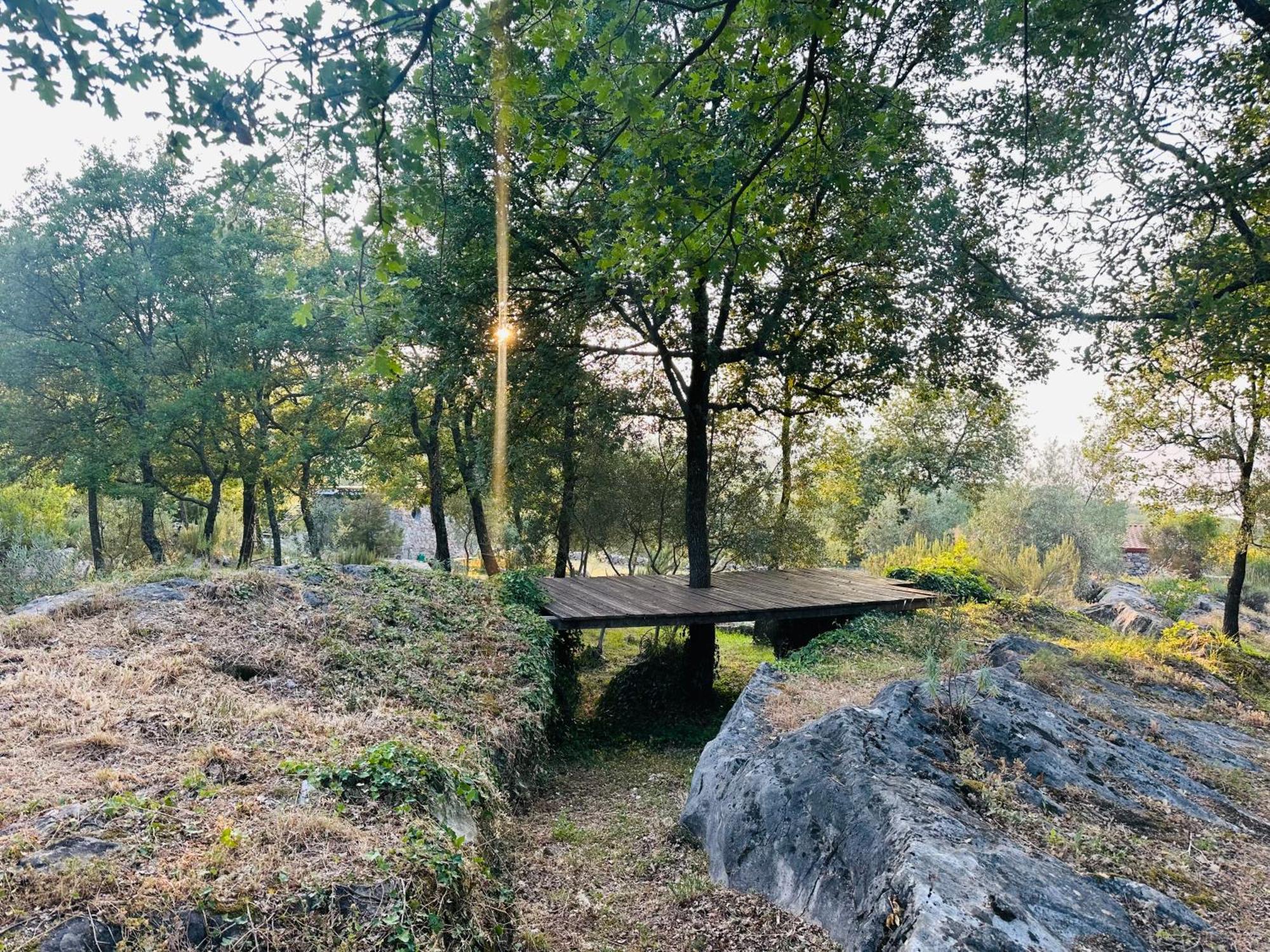 Glamping Montenegro Chalet